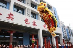 醒狮贺岁，爱游戏ayx官网平台-爱游戏(中国)2019年开工大吉